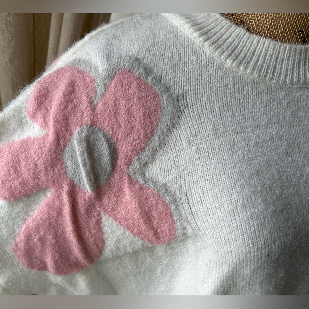 BiBi Pink an Gray Colored Daisy Flower Sweater in Cream - Picture 4 of 12